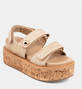 The Lucille - Dear Gigi6.5