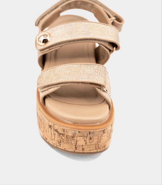 The Lucille - Dear Gigi6.5