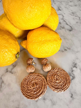 Braided Disc Charm Dangle Earrings - Dear Gigi